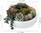 8 Inch Round Modern Artificial Succulent Arrangement Potted in White Concrete Plant Bowl, Assorted Faux Mini Succulents in a Decorative Planter Pot